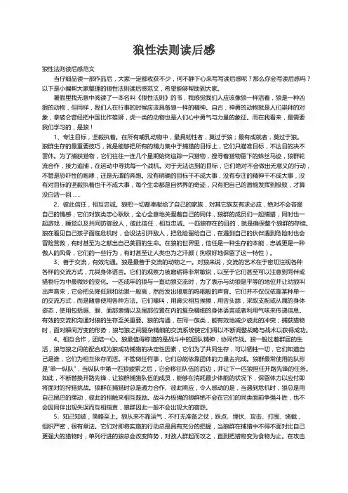 狼性法则读后感范文