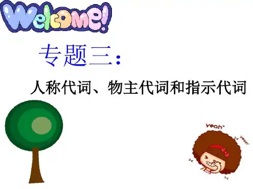 小学英语代词语法复习及练习-2023年学习资料