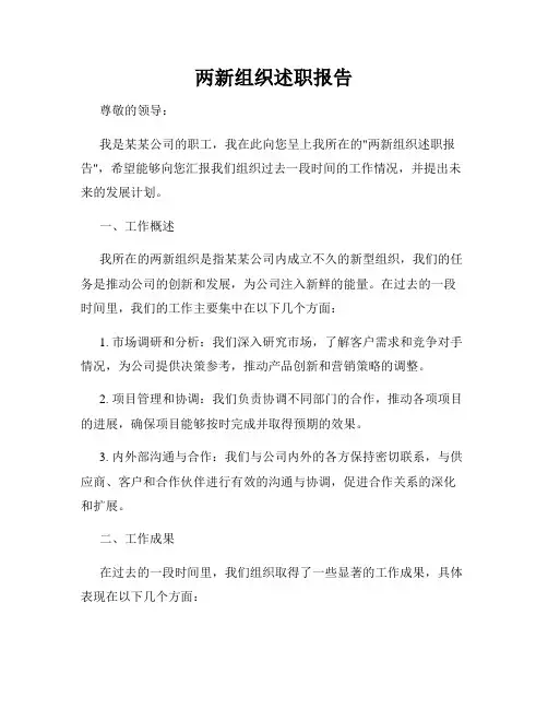 两新组织述职报告