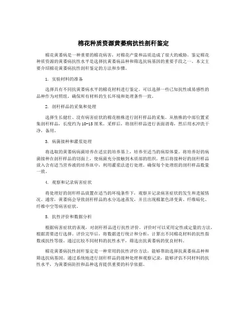 棉花种质资源黄萎病抗性剖秆鉴定