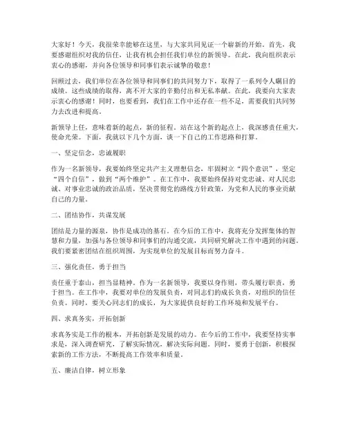 新领导上任的总结发言稿
