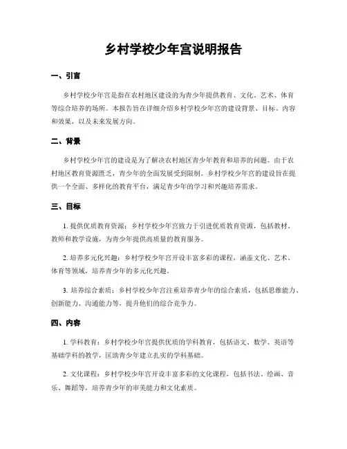 乡村学校少年宫说明报告