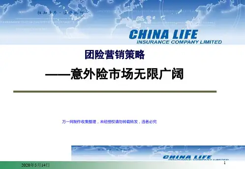团险营销策略讲义(ppt 48页)