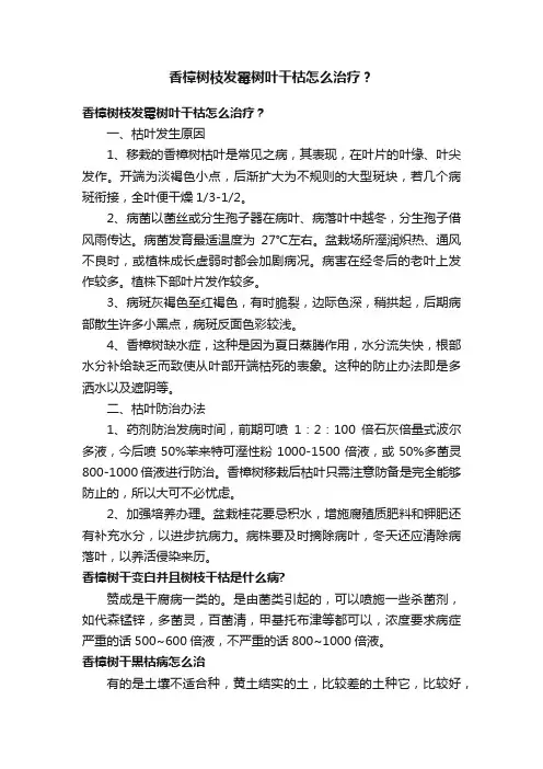 香樟树枝发霉树叶干枯怎么治疗？
