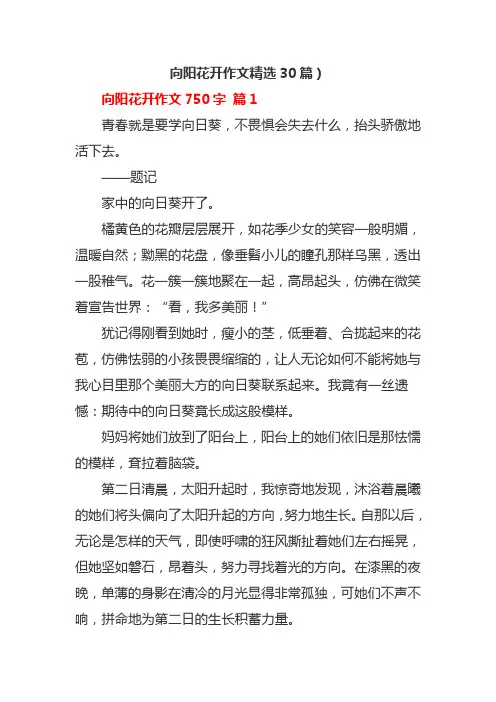 向阳花开作文精选30篇)