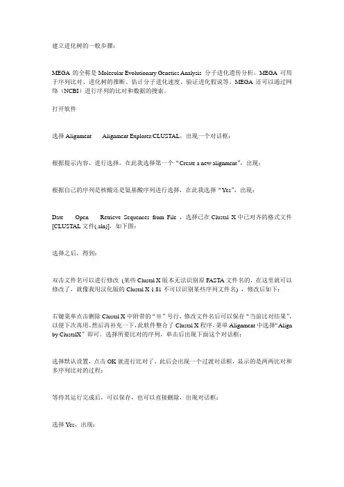 建立进化树的方法
