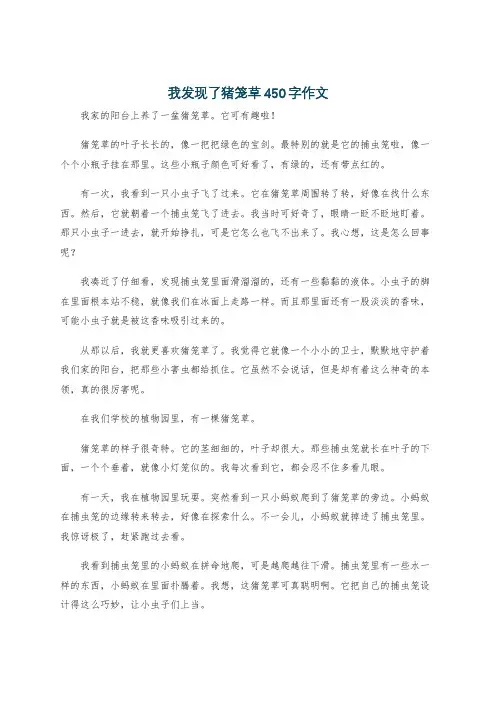 我发现了猪笼草450字作文