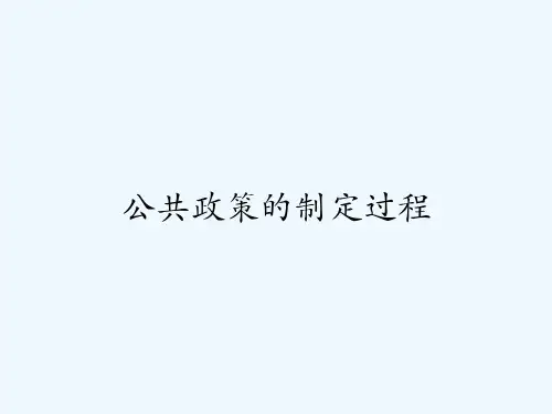 公共政策的制定过程-PPT