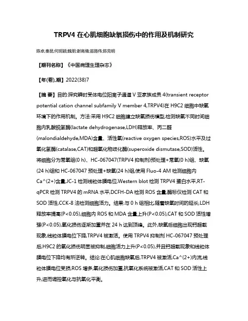 TRPV4在心肌细胞缺氧损伤中的作用及机制研究