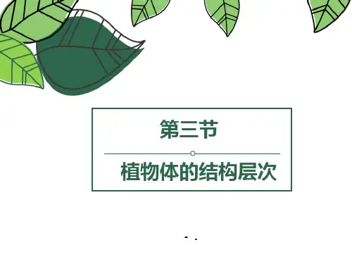 《植物体的结构层次》PPT课件