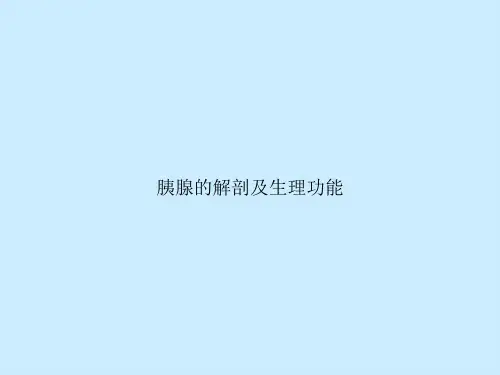 胰腺的解剖及生理功能