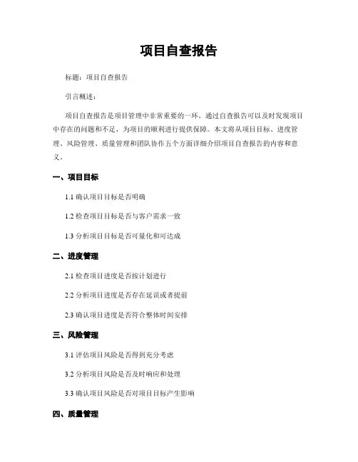项目自查报告