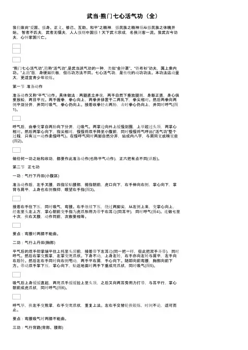 武当·熊门七心活气功（全）