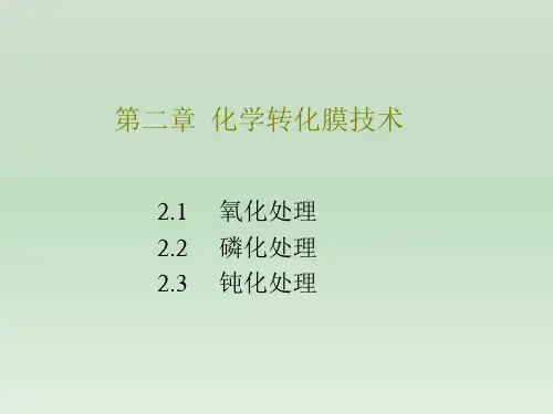 第二章 化学转化膜技术