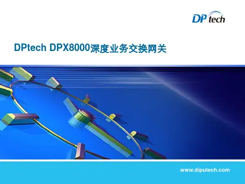 DPtech(迪普)DPX8000深度业务交换网关