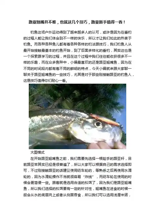 路亚翘嘴并不难，也就这几个技巧，路亚新手值得一看！