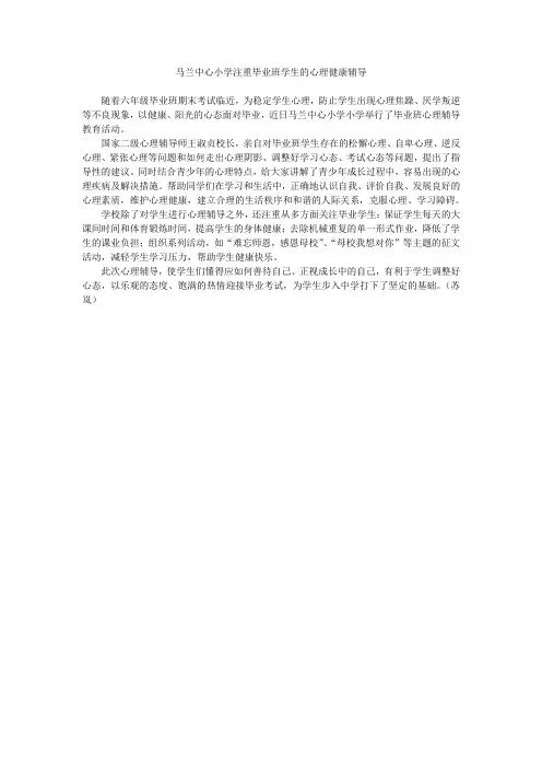 毕业班学生心理辅导工作