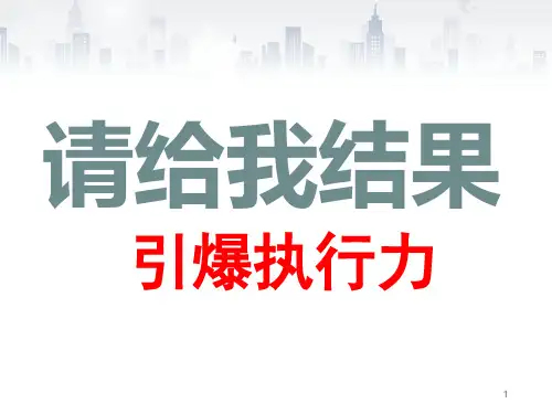 请给我结果引爆执行力PPT幻灯片课件