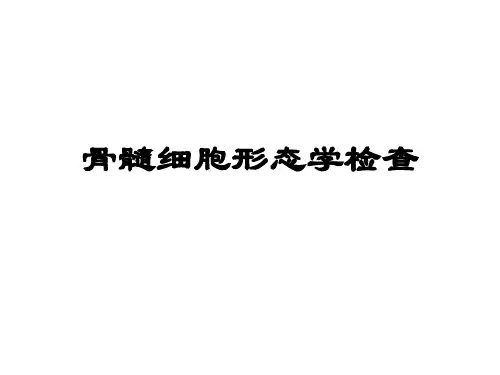 医科大学精品课件：骨髓细胞形态学检查