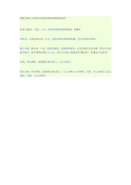 脊椎动物五大类的心脏的结构和血液循环途径