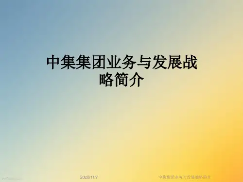 中集集团业务与发展战略简介