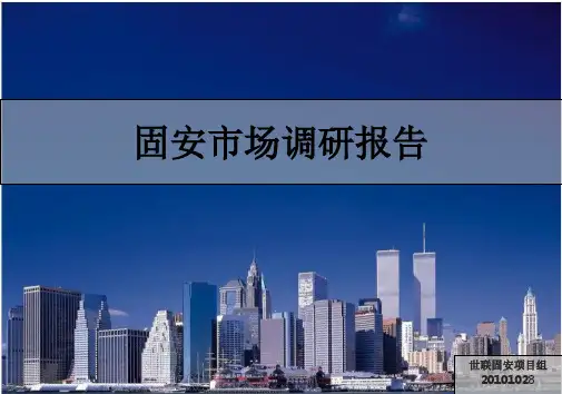 固安市场调研报告市场研究