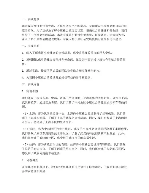 小康的社会实践报告