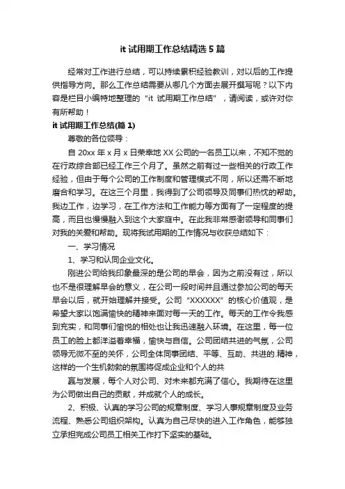 it试用期工作总结精选5篇