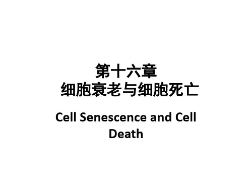 医学细胞生物学：第十六章 细胞衰老与细胞死亡
