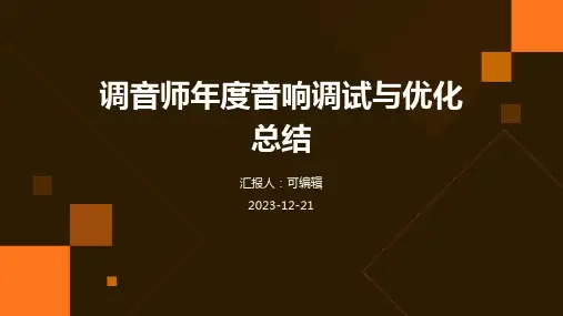 调音师年度音响调试与优化总结