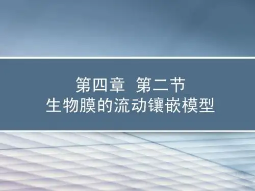 生物膜的流动镶嵌模型