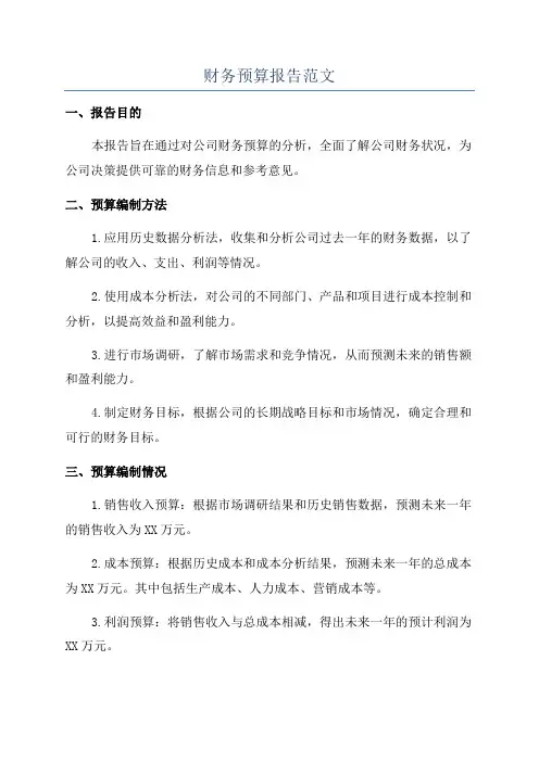 财务预算报告范文