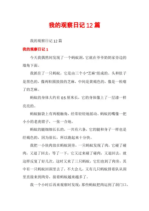 我的观察日记12篇