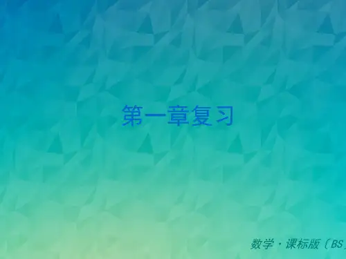 《丰富的图形世界 》复习课件 (新版)北师大版