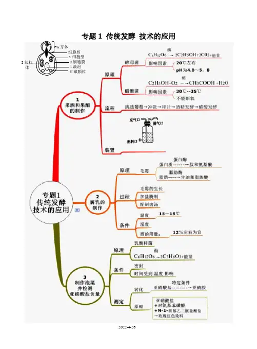 《传统发酵技术的应用》思维导图