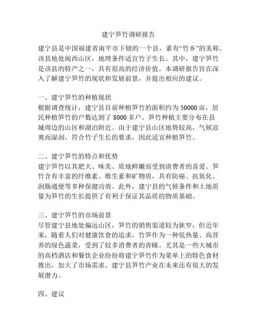 建宁笋竹调研报告
