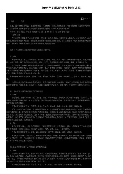 植物色彩搭配地被植物搭配