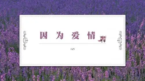 唯美浪漫薰衣草婚礼婚纱PPT婚礼策划