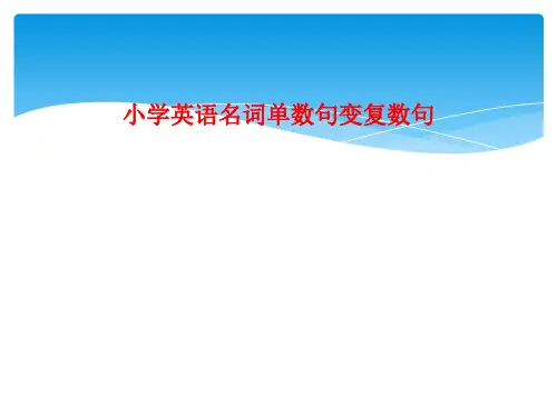 小学英语名词单数句变复数句