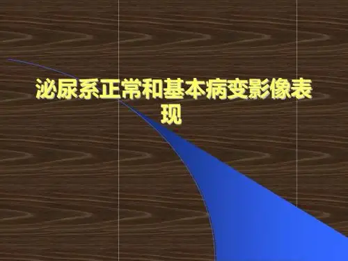 影像诊断课件-第五章泌尿生殖正常与基本病变影像表现1.1ppt