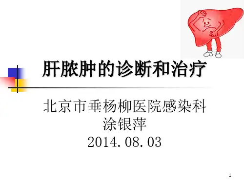肝脓肿的诊断和治疗PPT参考幻灯片