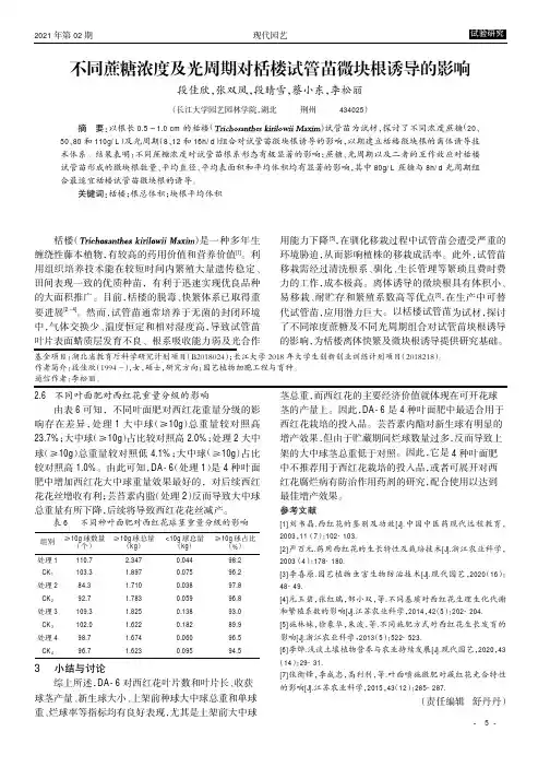 不同蔗糖浓度及光周期对栝楼试管苗微块根诱导的影响