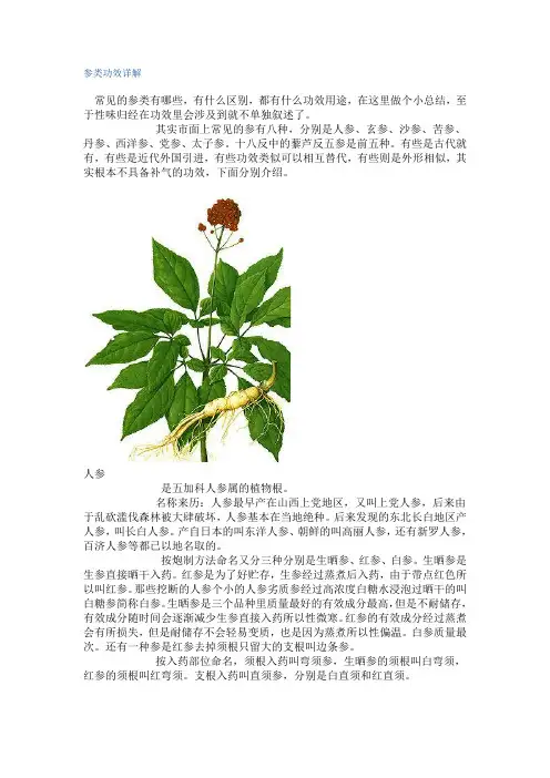 参类功效详解