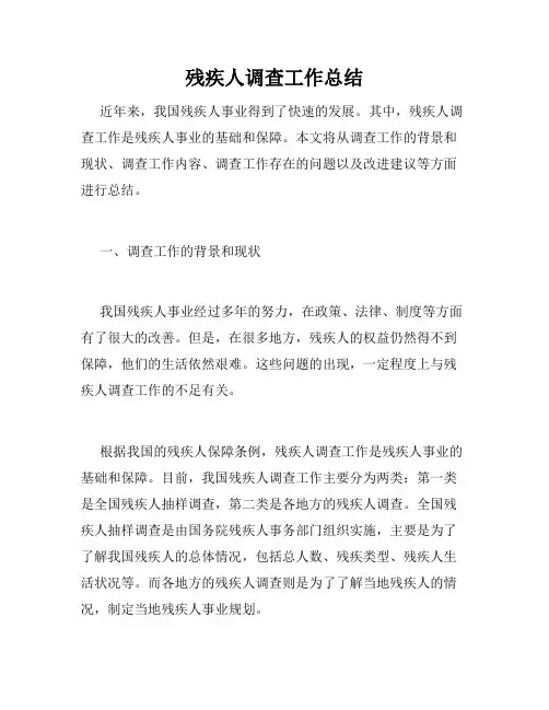 残疾人调查工作总结