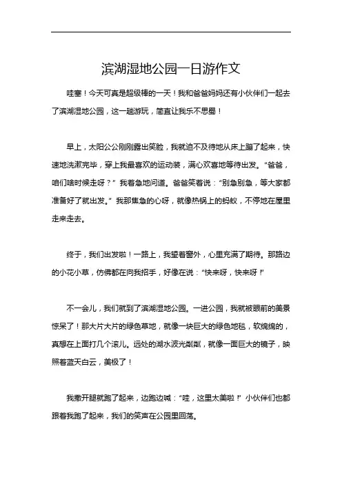 滨湖湿地公园一日游作文