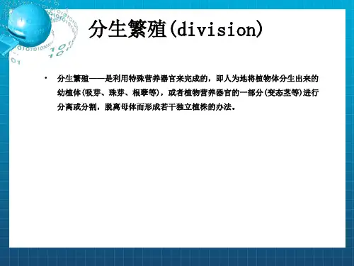 园艺植物的繁殖-压条、分生繁殖、组培