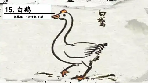人教部编版四年级下册语文课件-15 白鹅. 第二课时 (共12张PPT).ppt