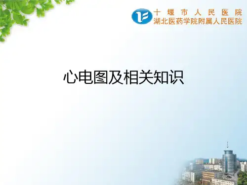 心电图及相关知识精品PPT课件