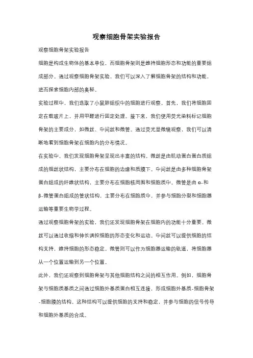 观察细胞骨架实验报告