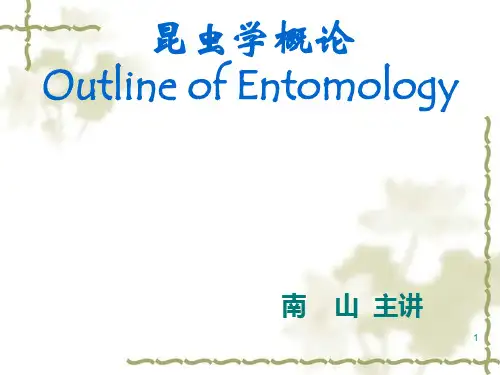 昆虫学概论PPT演示文稿